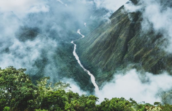 Cloud Forests and Cloud computing