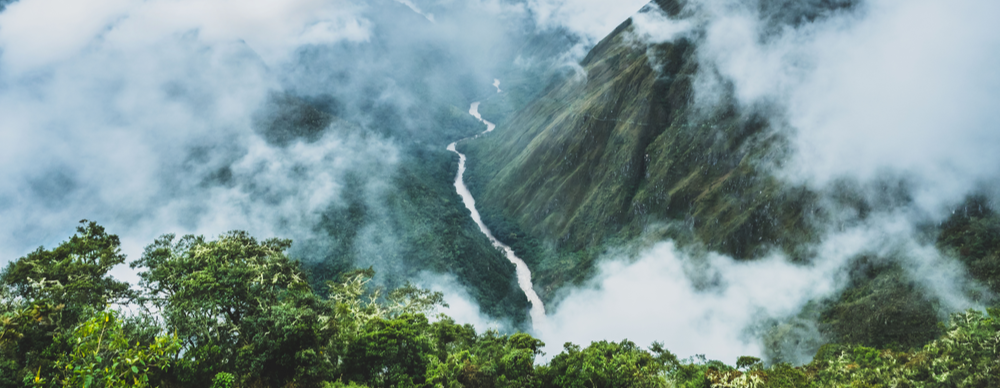 Cloud Forests and Cloud computing