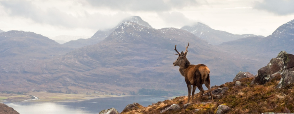 Cyber security in Scotland