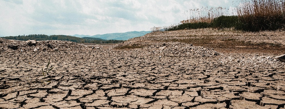 deleting_data_article_by_vxtream_image_of_riverbed_affected_by_drought