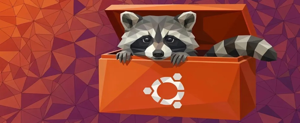 Image_of_Unbuntu_racoon_to_illustrate_article_about_DDOS_attacks_following_Ubuntu_outage