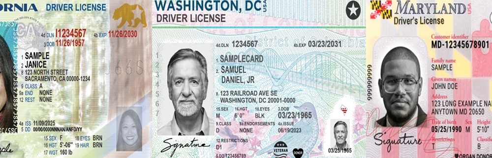 image-of-various-US-state-driving-licenses-to-illustrate-article-on-car-cyber-crime